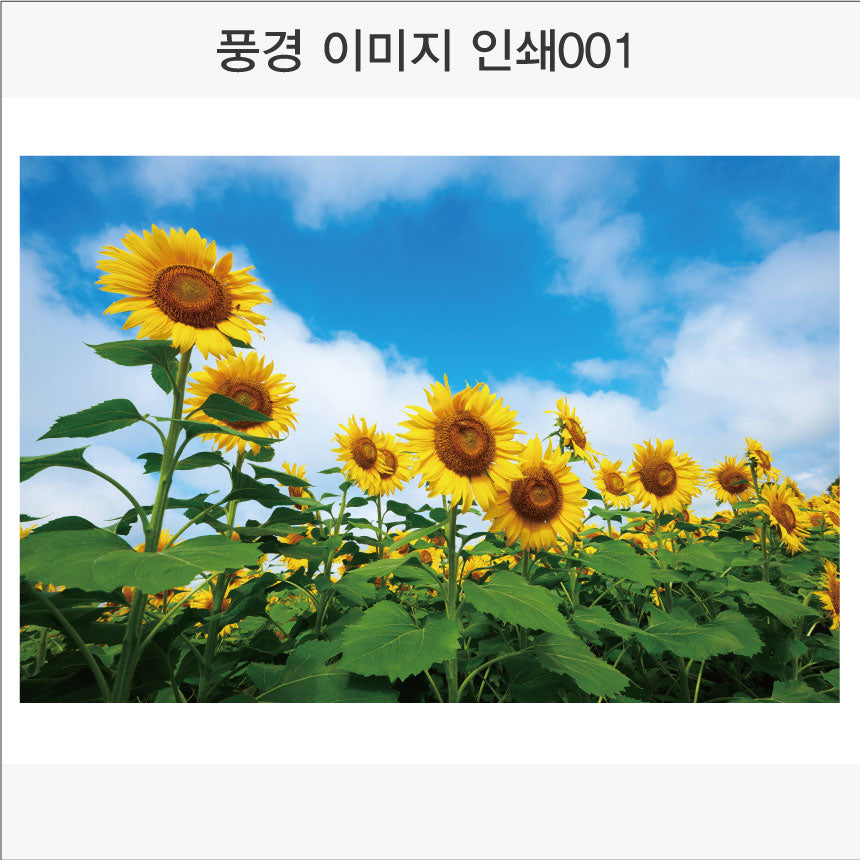 017. 풍경 이미지(Aluminum 금속 UV인쇄)가로형