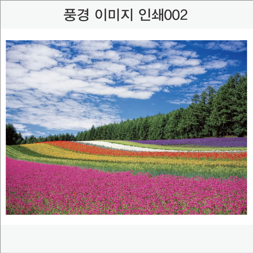 017. 풍경 이미지(Aluminum 금속 UV인쇄)가로형
