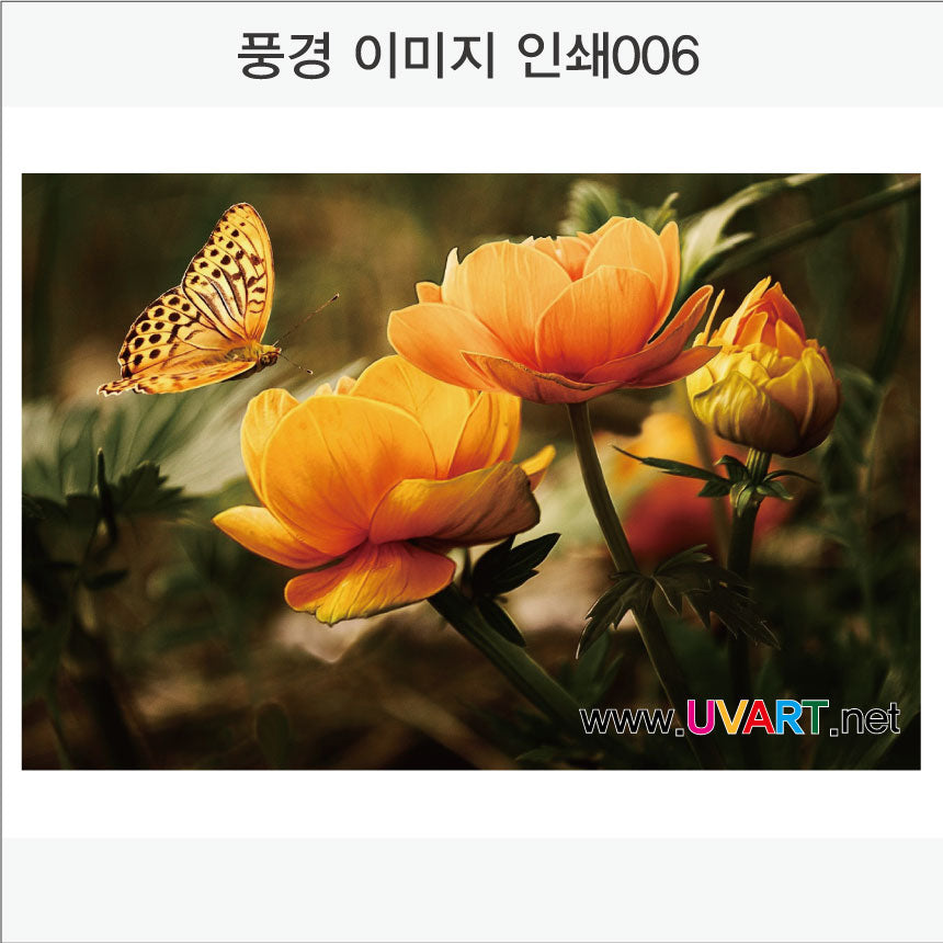 풍경이미지 인쇄(Aluminum Panel)가로형