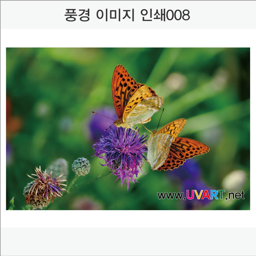 풍경이미지 인쇄(Aluminum Panel)가로형