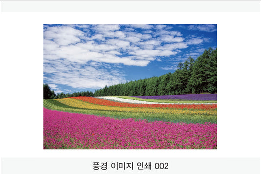 017. 풍경 이미지(Aluminum 금속 UV인쇄)가로형