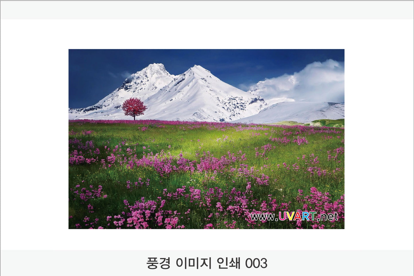017. 풍경 이미지(Aluminum 금속 UV인쇄)가로형