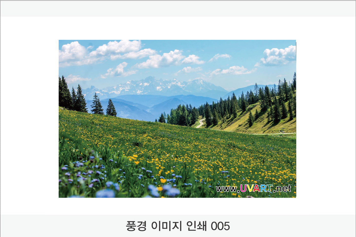 017. 풍경 이미지(Aluminum 금속 UV인쇄)가로형