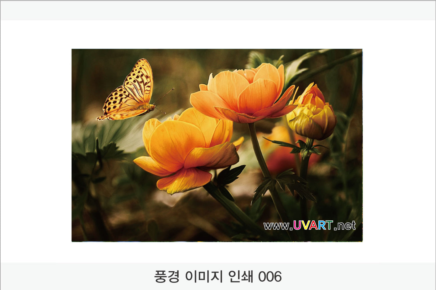 017. 풍경 이미지(Aluminum 금속 UV인쇄)가로형