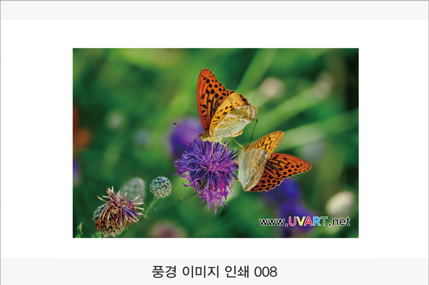 017. 풍경 이미지(Aluminum 금속 UV인쇄)가로형